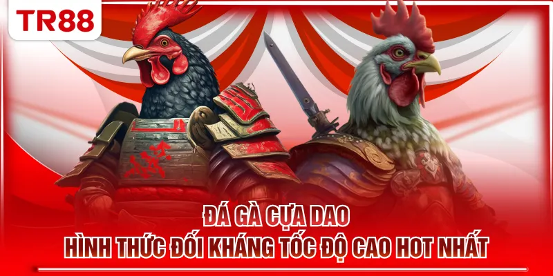 Đá gà cựa dao